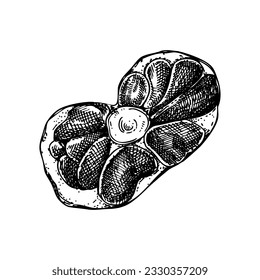 Vector raw oxtail with meat sketch. Hand drawn tail of cattle isolated on white background. Engraved food illustration for butchery, recipes, menu in vintage style. 