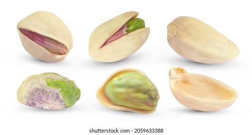 Nueces de pistachos vectoriales crudos con cáscara. Fondo del núcleo salado realista. Pistola seca aislada en blanco. Ilustración de cocina.