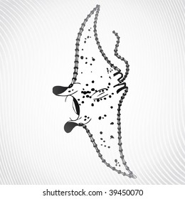 Vector ray
