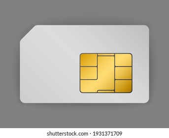 vector real sim card with gold chip