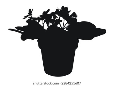 Vector real trendy modern silhouettes violet, viola. Freehand drawing plants, herbs.  