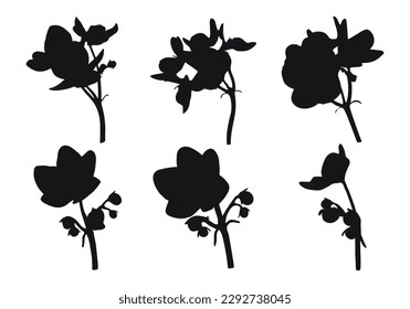 Vector real trendy modern silhouettes violet, viola. Freehand drawing plants, herbs.  