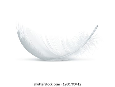 Vector realisic illustration of one lying fluffy bird feather isolated on white background