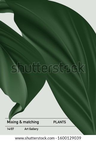 Vector realisitc 3d ficus leaves poster, modern trendy houseplant greenery card with botanical print design. Jungle summer print.