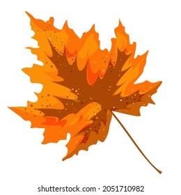 Vector realism of a stylized autumn leaf on a white background. EPS 10. Concept. Cartoon