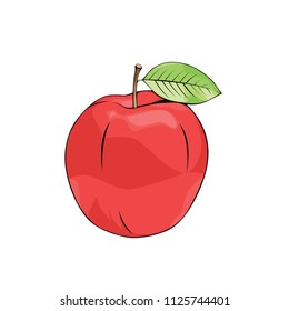 vector realist fruits apple