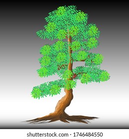 vector of realist tree with white gray background