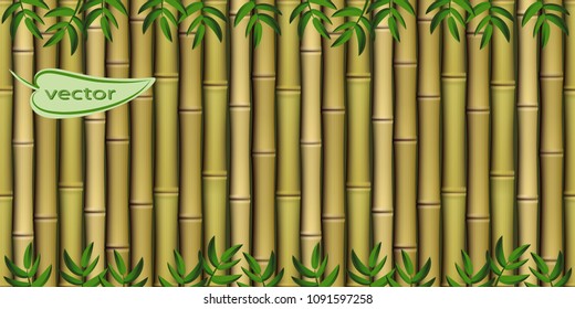 Vector Realistic 3D Bamboo Texture With Green Leaves As Background, Lined Vertically Bamboo Branches.