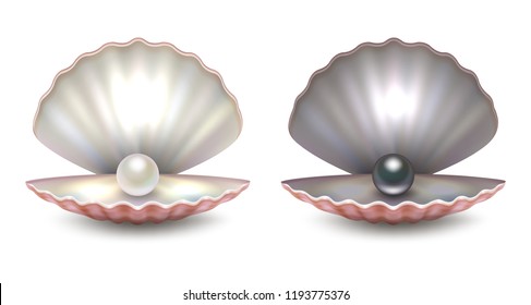 Vector realistic 3d beautiful natural opened pearl shell with pearls inside - white and black color - icon set close-up isolated on white background. Design template of seashells for graphics. Front