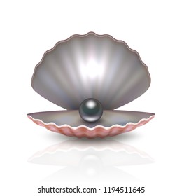 Vector realistic 3d beautiful natural opened pearl shell with black pearl inside icon close-up isolated on white background with reflection. Design template of seashells for graphics. Front view