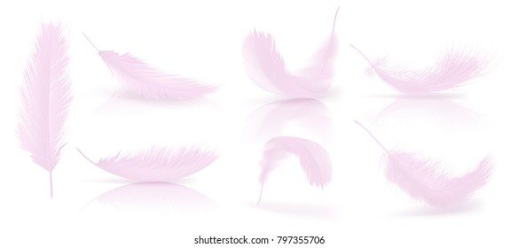 Vector realistic 3d set of pink bird or angel feathers in various shapes, isolated on background. Symbol of lightness, innocence, heaven, literature and poetry. Decoration element for your design