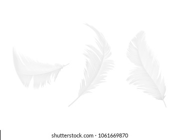 Vector realistic 3d set of white bird or angel feathers in various shapes, isolated on background. Symbol of lightness, innocence, heaven, literature and poetry. Decoration element for your design