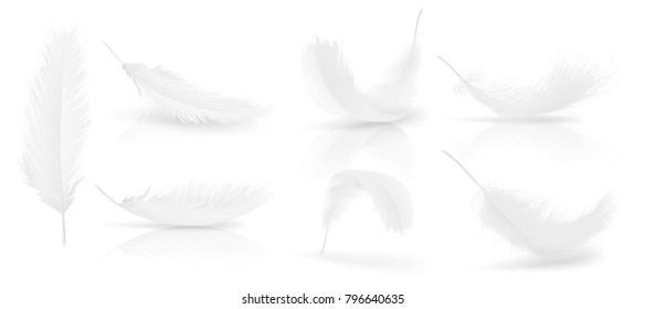 Vector realistic 3d set of white bird or angel feathers in various shapes, isolated on background. Symbol of lightness, innocence, heaven, literature and poetry. Decoration element for your design