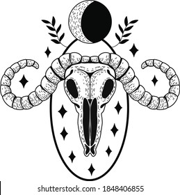 Vector realistic animal scull with horns. Eps 10  illustration can be used for party invitation, design template, greeting card, patterns fill, posters,logo, tattoo, branding. Design element 