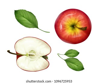 Vector realistic apple top view set. 3d ripe fruit sliced half, whole and green leaves. Fresh organic natural vitamin food for healthy eating and lifestyle. Isolated illustration, white background