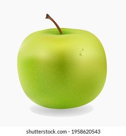 Vector realistic apple. Yellow green apple isolated on white background. Realistic 3d apple. Gradient mesh Illustration.
