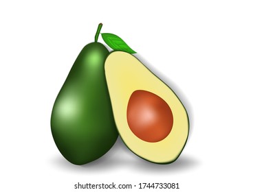 Vector realistic avocado isolated on white. Vector illustrations