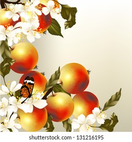 Vector realistic background with fresh apples on branch