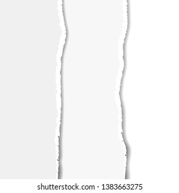 vector realistic  background with white paper