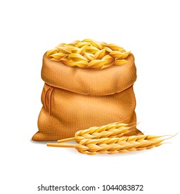 Vector realistic bag with unrefined wheat grains, barley with wheat ears isolated on white background. Design element. Bread and harvest theme. Food and feed. 3d illustration.