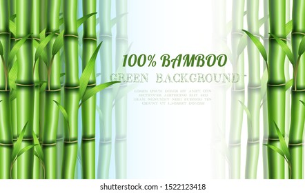 Vector realistic bamboo eco background. With copy space for your text.