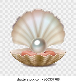 Vector realistic beautiful 3D opened shell with shining pearl inside isolated on white transparent background. 