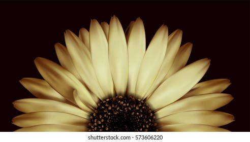 vector realistic beige chamomile gerbera on a black background