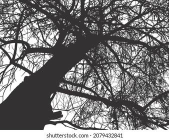 Vector Realistic Black Tree Silhouette On White Background