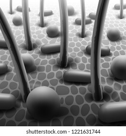 Vector realistic black and white illustration of spherical and rod-shaped bacteria on skin with hairs, close up microflora under microscope
