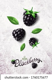 Ilustración vectorial realista de mora negra sobre fondo de piedra blanca