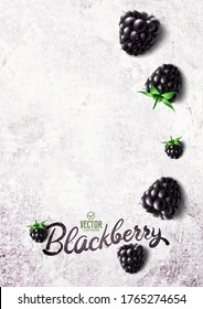 Vector realistic blackberry illustration on white stone background