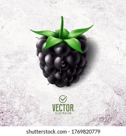 Vektorrealistische schwarze Beerengrafik auf weißem Hintergrund