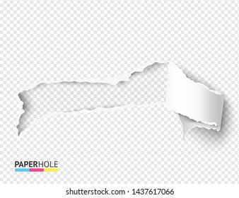 Vector realistic blank torn paper hole with curly rip edges for revealing promo message