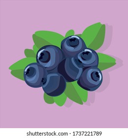 Vector realistic blue blueberry with green leaves.Falling shadow.Icon of blueberries. Ripe fruit is an ingredient for a healthy diet. Isolated on a light background.