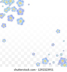 Vector Realistic Blue Flowers Falling on Transparent Background.  Spring Romantic Flowers Illustration. Flying Petals. Sakura Spa Design.  Blossom Confetti. Design Elements for  8 March Card.