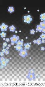 Vector Realistic Blue Flowers Falling on Transparent Background.  Spring Romantic Flowers Illustration. Flying Petals. Sakura Spa Design.  Blossom Confetti. Design Elements for  St. Valentine Day.