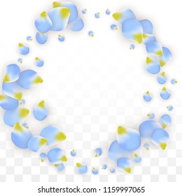 Vector Realistic Blue Petals Falling on Transparent Background.  Spring Romantic Flowers Illustration. Flying Petals. Sakura Spa Design.  Blossom Confetti. Design Elements for  8 March Card.