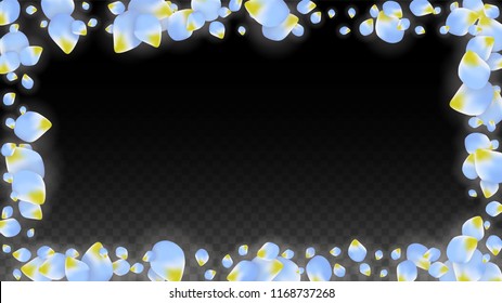 Vector Realistic Blue Petals Falling on Transparent Background.  Spring Romantic Flowers Illustration. Flying Petals. Sakura Spa Design.  Blossom Confetti. Design Elements for  Mother's Day.