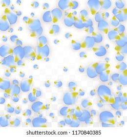 Vector Realistic Blue Petals Falling on Transparent Background.  Spring Romantic Flowers Illustration. Flying Petals. Sakura Spa Design.  Blossom Confetti. Design Elements for  Poster Design. 