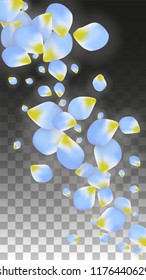 Vector Realistic Blue Petals Falling on Transparent Background.  Spring Romantic Flowers Illustration. Flying Petals. Sakura Spa Design.  Blossom Confetti. Design Elements for  St. Valentine Day.
