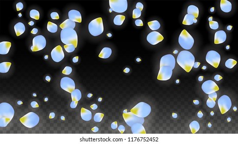 Vector Realistic Blue Petals Falling on Transparent Background.  Spring Romantic Flowers Illustration. Flying Petals. Sakura Spa Design.  Blossom Confetti. Design Elements for  Mother's Day.