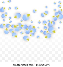 Vector Realistic Blue Petals Falling on Transparent Background.  Spring Romantic Flowers Illustration. Flying Petals. Sakura Spa Design.  Blossom Confetti. Design Elements for  Wedding Decoration.