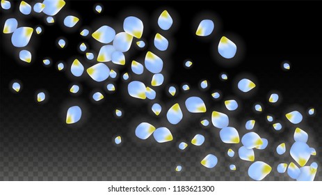 Vector Realistic Blue Petals Falling on Transparent Background.  Spring Romantic Flowers Illustration. Flying Petals. Sakura Spa Design.  Blossom Confetti. Design Elements for  Wedding Decoration.