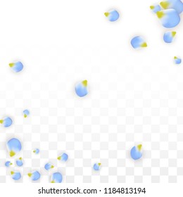 Vector Realistic Blue Petals Falling on Transparent Background.  Spring Romantic Flowers Illustration. Flying Petals. Sakura Spa Design.  Blossom Confetti. Design Elements for  Wedding Decoration.
