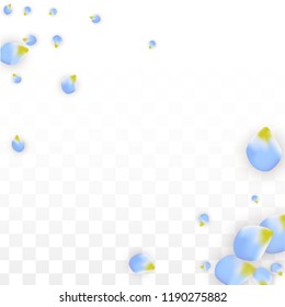 Vector Realistic Blue Petals Falling on Transparent Background.  Spring Romantic Flowers Illustration. Flying Petals. Sakura Spa Design.  Blossom Confetti. Design Elements for  Mother's Day.