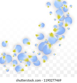 Vector Realistic Blue Petals Falling on Transparent Background.  Spring Romantic Flowers Illustration. Flying Petals. Sakura Spa Design.  Blossom Confetti. Design Elements for  St. Valentine Day.