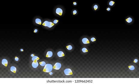 Vector Realistic Blue Petals Falling on Transparent Background.  Spring Romantic Flowers Illustration. Flying Petals. Sakura Spa Design.  Blossom Confetti. Design Elements for  St. Valentine Day.