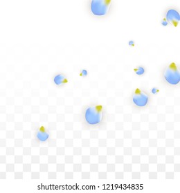 Vector Realistic Blue Petals Falling on Transparent Background.  Spring Romantic Flowers Illustration. Flying Petals. Sakura Spa Design.  Blossom Confetti. Design Elements for  St. Valentine Day.