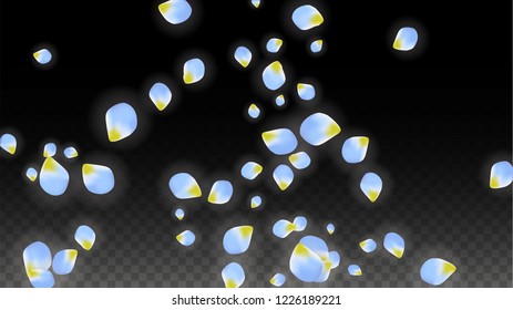 Vector Realistic Blue Petals Falling on Transparent Background.  Spring Romantic Flowers Illustration. Flying Petals. Sakura Spa Design.  Blossom Confetti. Design Elements for  Mother's Day.