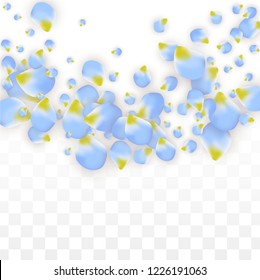 Vector Realistic Blue Petals Falling on Transparent Background.  Spring Romantic Flowers Illustration. Flying Petals. Sakura Spa Design.  Blossom Confetti. Design Elements for  Poster Design. 